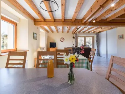 Télévision ou salle de divertissement dans l'établissement Gîte familial dans les Vosges avec WiFi inclus - FR-1-583-443