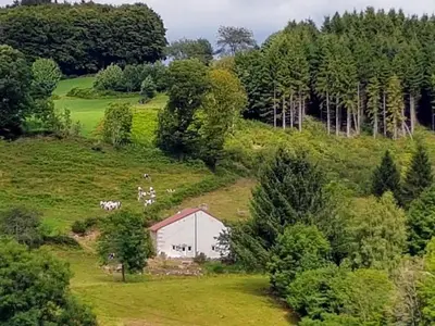 Paysage naturel près de la maison de vacances