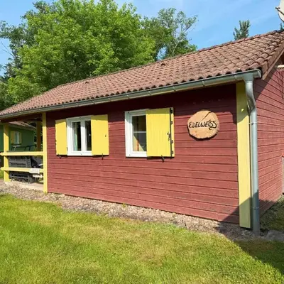 Chalet Edelweiss au cœur de la nature vosgienne - FR-1-583-441