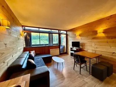 Télévision ou salle de divertissement dans l'établissement Appart 313, au pied des pistes de ski avec superbe vue