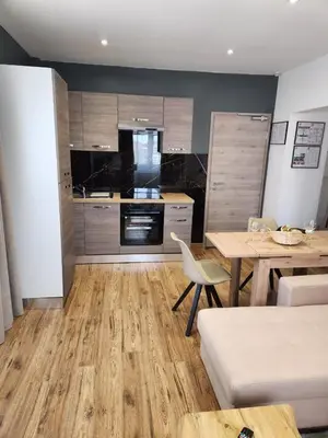 Cuisine ou kitchenette dans l'établissement Appart Hôtel la roseraie