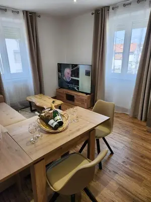 Télévision ou salle de divertissement dans l'établissement Appart Hôtel la roseraie