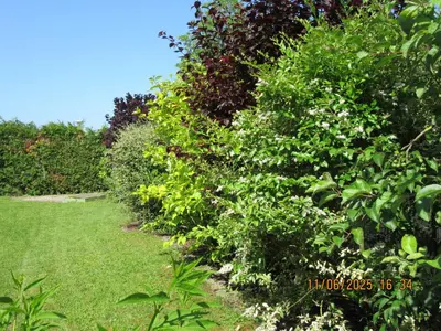 Jardin de l'établissement Charmante suite avec SPA sur la propriété