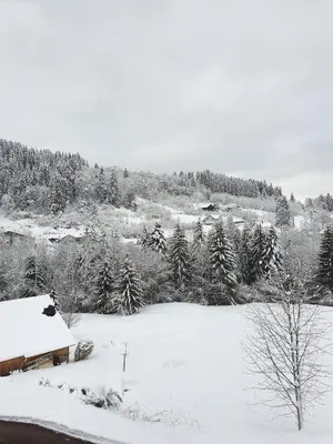 L'établissement Chalet Mondego, peaceful and comfortable en hiver