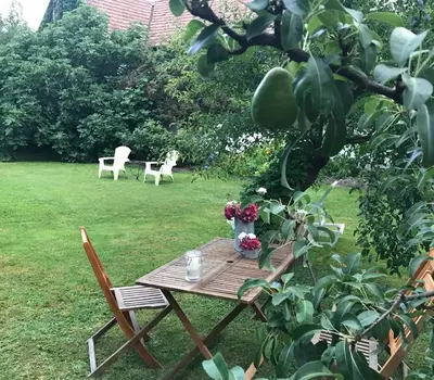 Jardin de l'établissement Agrita Home