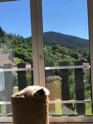 Vue générale sur la montagne ou vue sur la montagne depuis l'appartement