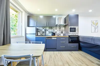 Cuisine ou kitchenette dans l'établissement TH 103 Appartement F2 à Thann 1 à 3 personnes