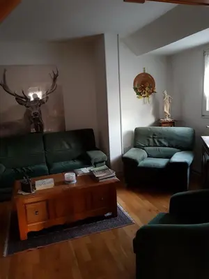 Coin salon dans l'établissement Grand appartement centre ville