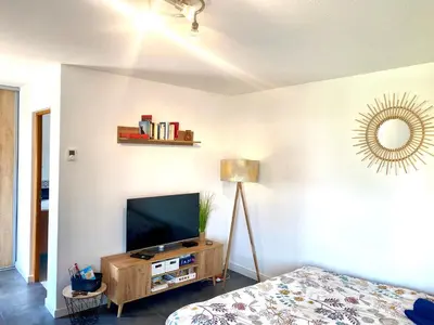 Télévision ou salle de divertissement dans l'établissement Le Petit Letzenberg