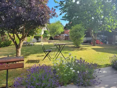 Jardin de l'établissement Le jardin