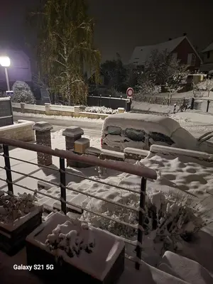 L'établissement Le jardin en hiver