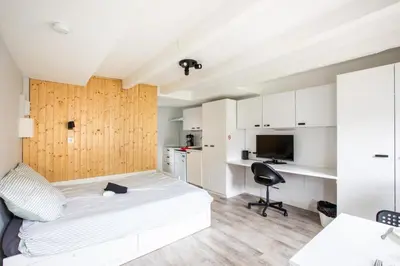 Plan de l'établissement N1 Deluxe Bright Studio, Renovated, Free Parking, MULHOUSE CENTRE