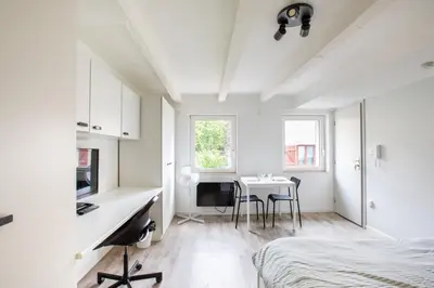 Plan de l'établissement N1 Deluxe Bright Studio, Renovated, Free Parking, MULHOUSE CENTRE