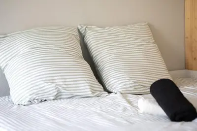 Plan de l'établissement N1 Deluxe Bright Studio, Renovated, Free Parking, MULHOUSE CENTRE