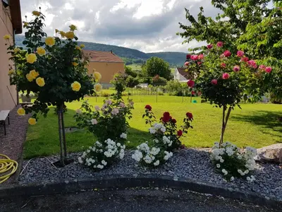 Paysage naturel près de l'appartement