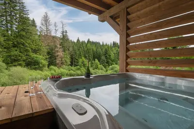 Piscine de l'établissement Forest Lodge, a luxury chalet with sauna and jacuzzi ou située à proximité