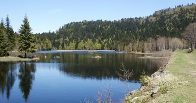 Paysage naturel près de l'appartement