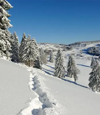 L'établissement L écrin vosgien en hiver