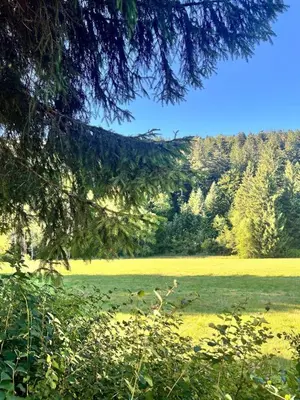 Paysage naturel près de l'appartement
