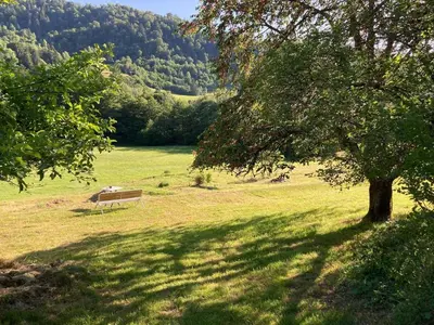 Paysage naturel près de la maison de vacances