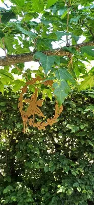 Plan de l'établissement Le Jardin D' Épicure