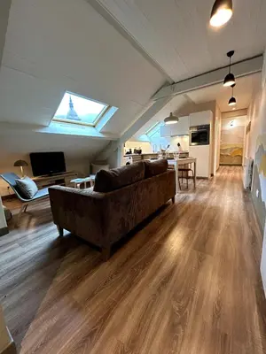 Télévision ou salle de divertissement dans l'établissement La Petite Mansarde
