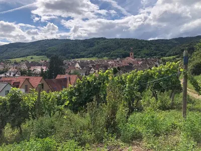 Paysage naturel près de l'appartement