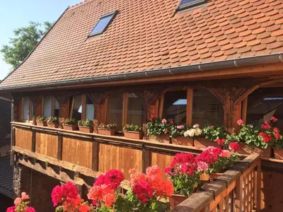 Jardin de l'établissement L'Insolite