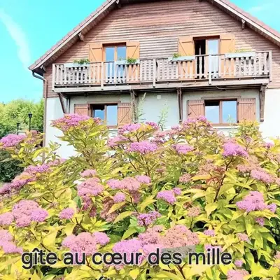 gîte des 1000 étangs