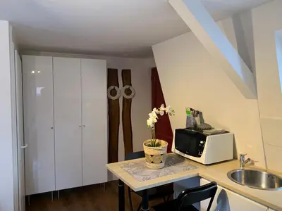 Cuisine ou kitchenette dans l'établissement Coquet Studio Colmar Centre