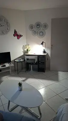 Coin salon dans l'établissement T1 hyper centre Saint-Louis 