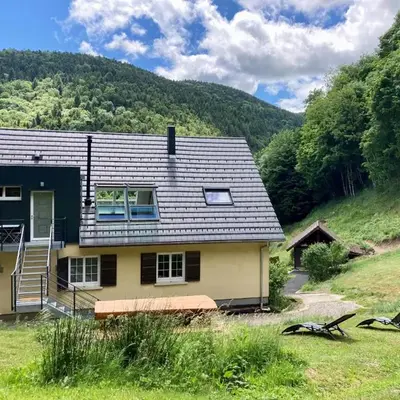 Gîte nature & bien-être - Grand ballon - vue forêt