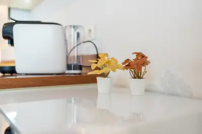 Cuisine ou kitchenette dans l'établissement Le Céleste - Détente & Bohème Proche Centre