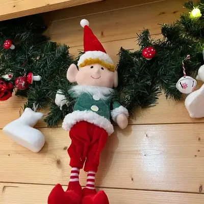 PETIT LUTIN à 250 m du bord du lac de Gérardmer