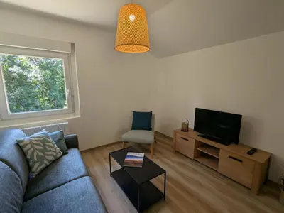 Télévision ou salle de divertissement dans l'établissement Maison 4 pers à Gérardmer entre lac et montagne avec terrasse - FR-1-589-836