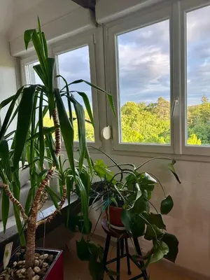 Jardin de l'établissement Loft vintage - spacieux 155 m2 - 4 chambres - Parking, Netflix, Wifi Fibre