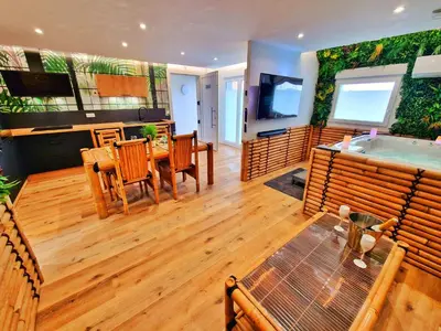 Télévision ou salle de divertissement dans l'établissement BALI SPA-4 Pers-Jacuzzi-Parking-Jardin-Clim-Colmar