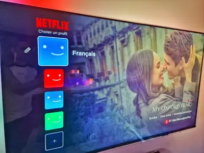 Télévision ou salle de divertissement dans l'établissement PLAYA SPA-4 Pers-Jacuzzi-Parking-Jardin-Clim-Colmar