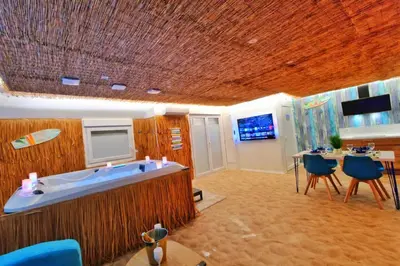 Télévision ou salle de divertissement dans l'établissement PLAYA SPA-4 Pers-Jacuzzi-Parking-Jardin-Clim-Colmar