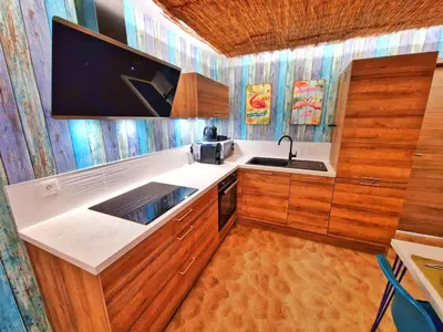 Cuisine ou kitchenette dans l'établissement PLAYA SPA-4 Pers-Jacuzzi-Parking-Jardin-Clim-Colmar