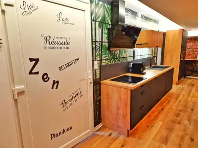 Cuisine ou kitchenette dans l'établissement LOFT & SPA-6 Pers-Jacuzzi-Parking-Jardin-Clim-Colmar