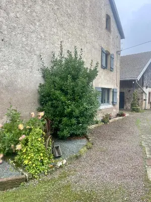 Jardin de l'établissement La Ferme des 1000 étangs