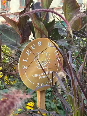 Jardin de l'établissement La Vue des Vignes