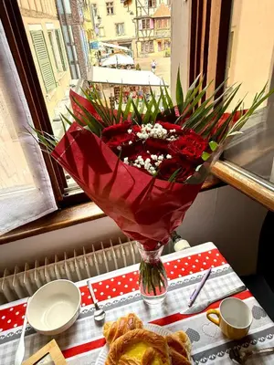 Nourriture dans l'appartement ou à proximité
