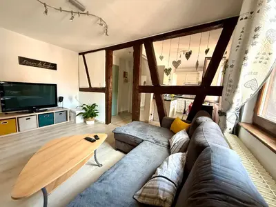 Télévision ou salle de divertissement dans l'établissement Le Nid du Veilleur-10min de Colmar