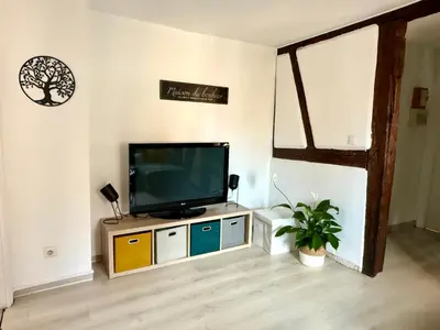 Télévision ou salle de divertissement dans l'établissement Le Nid du Veilleur-10min de Colmar