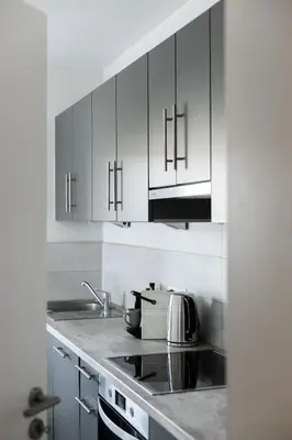 Cuisine ou kitchenette dans l'établissement Saint-Louis Centre, Logement idéal voyageurs