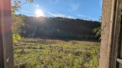 Paysage naturel près de le chalet
