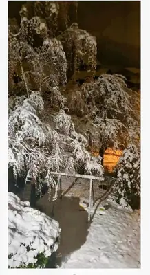 L'établissement Chambre cosy en hiver