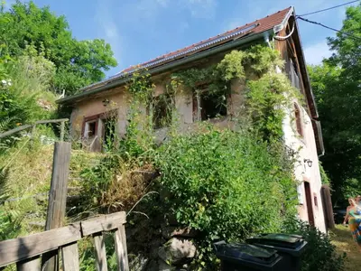 Jardin de l'établissement Bienvenue chez jacquou Chambre d'hôte chez l'habitant